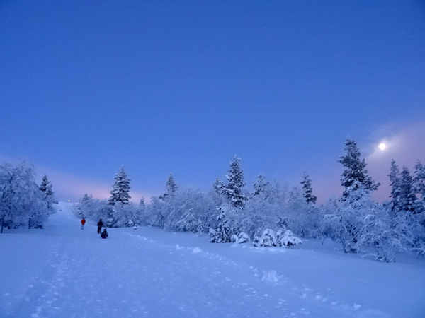 toboggan run