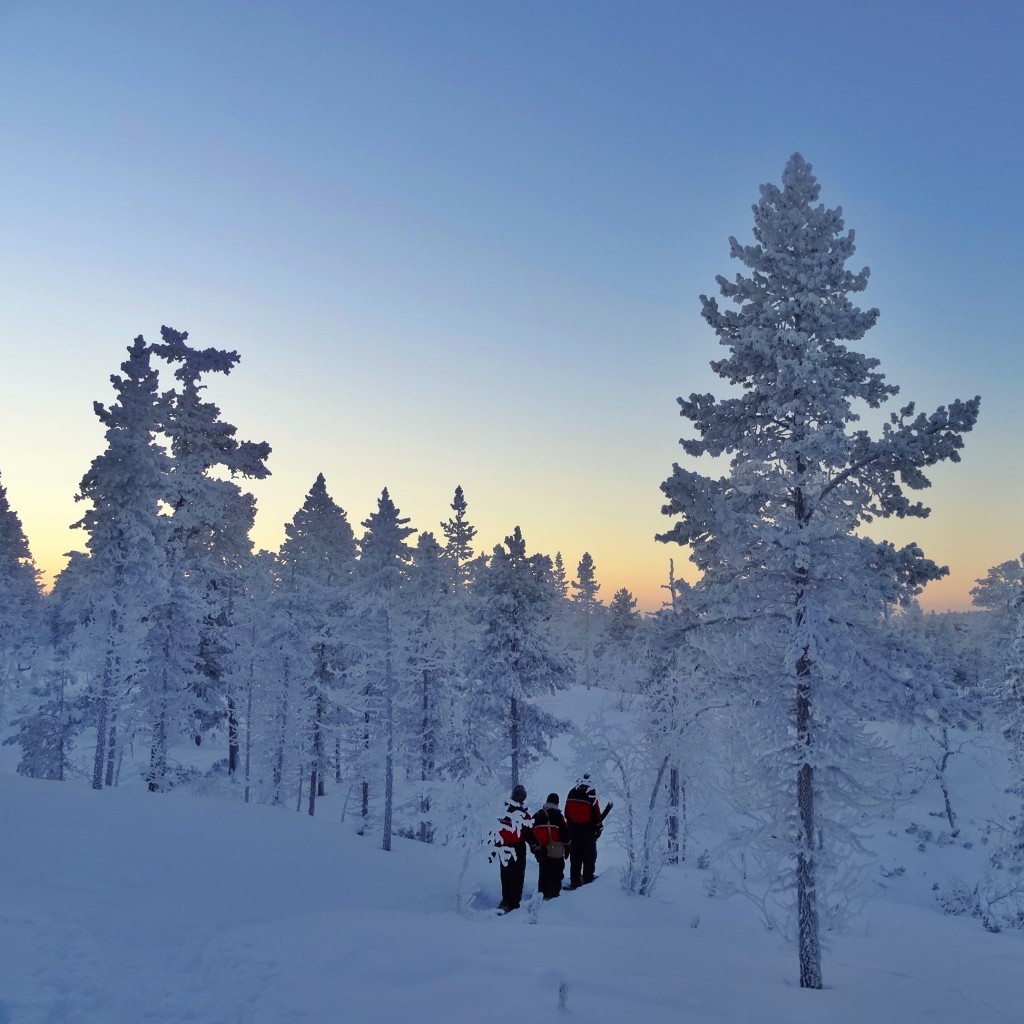 urho kekkonen national park