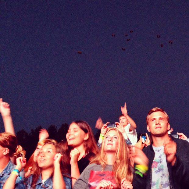 phoenix crowd fans