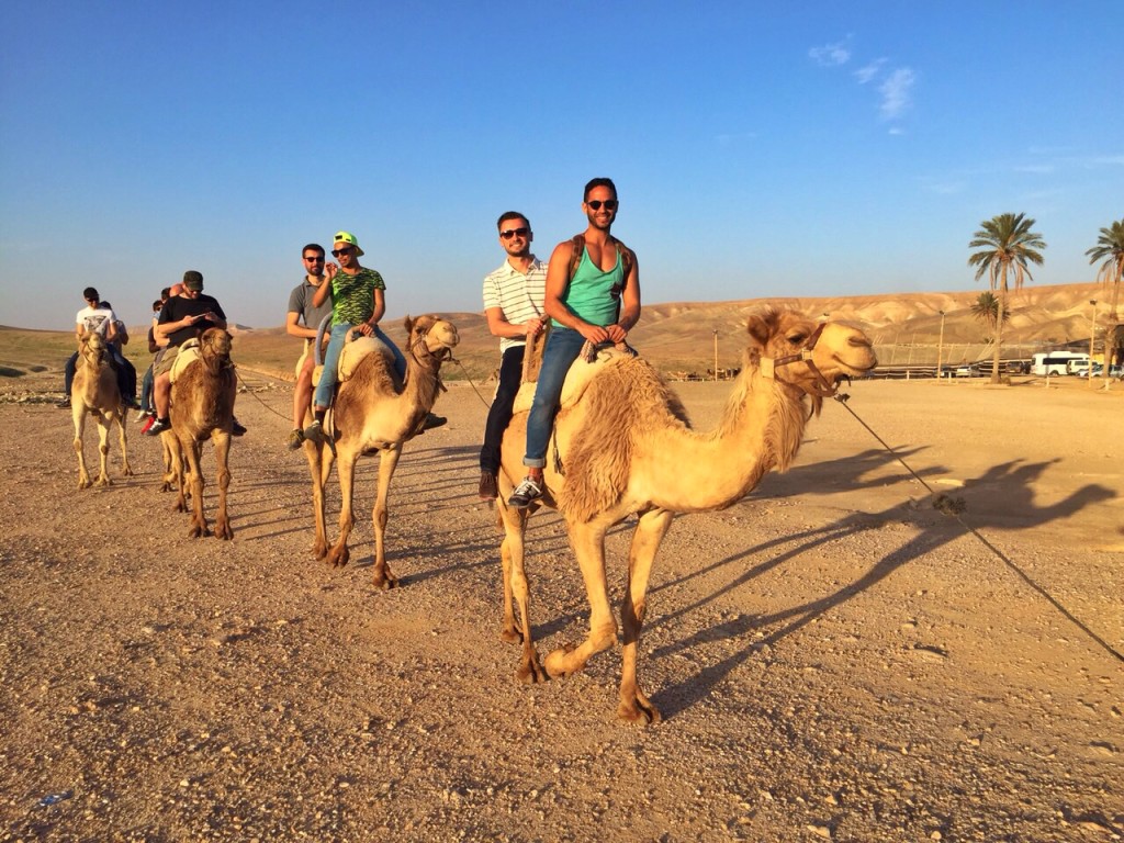 camel ride israel 2