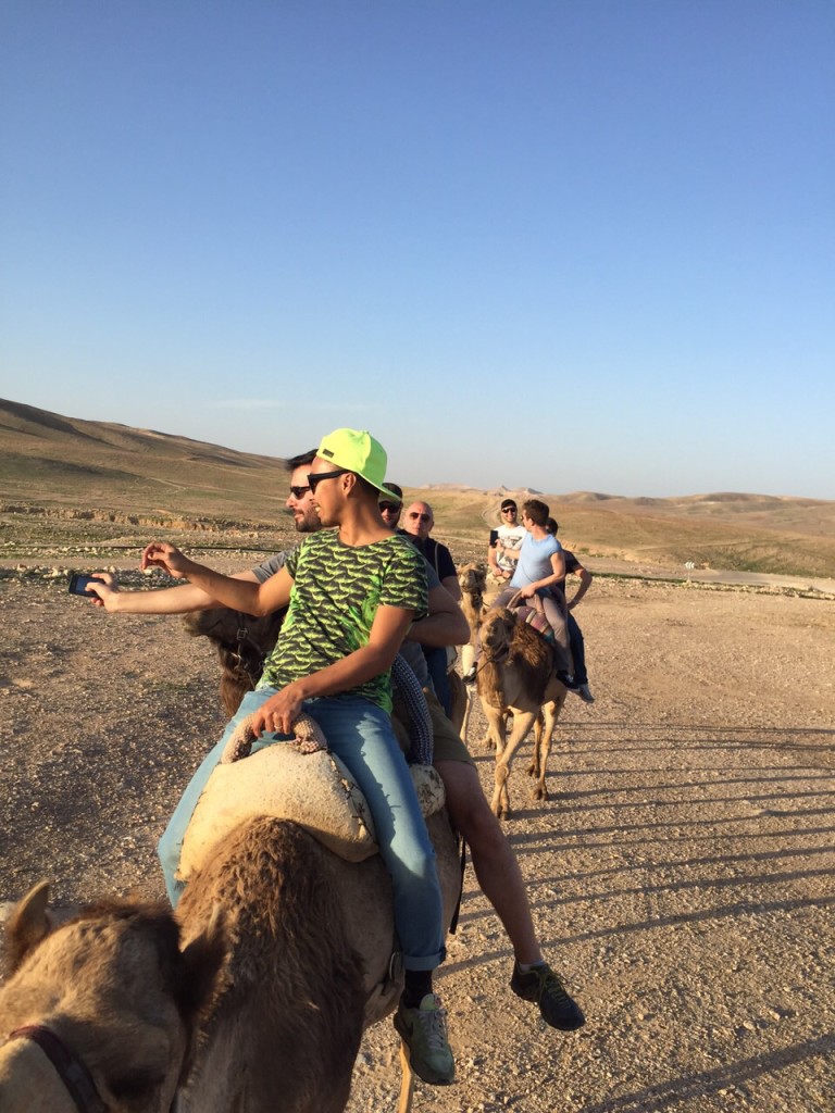 camel ride israle 2