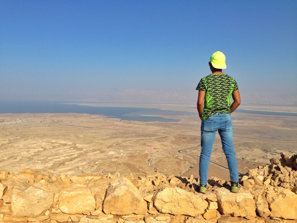 masada view israel